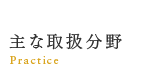 主な取扱分野